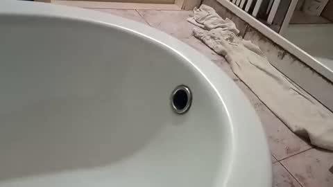 Snapshot of dthedog12 chatting on 11.09.25 dthedog12 online show from 11.09.25