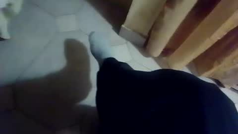 dthedog12 online show from 12.13.25