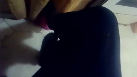 dthedog12 online show from 03.03.26