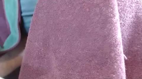 dunany101 online show from 03.04.25