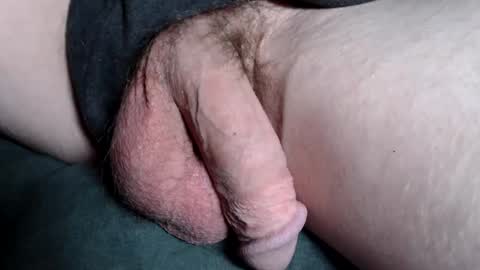 dveinz online show from 02.08.25