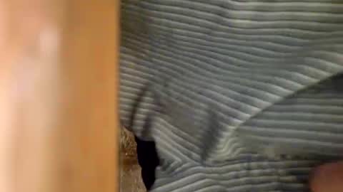 dVe1oPe online show from 01.06.25