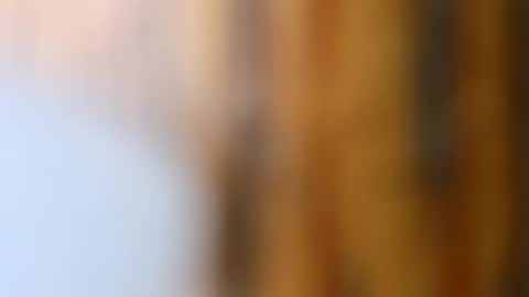 dVe1oPe online show from 10.14.25