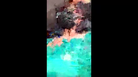 Dxdixi online show from 05.11.26