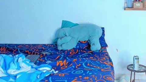 Dylan online show from 02.20.26