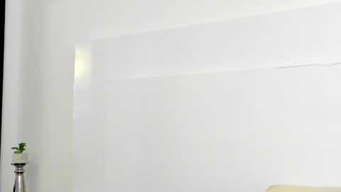 Snapshot of dylantaylor_1 chatting on 01.28.25 Dylan Taylor online show from 01.28.25