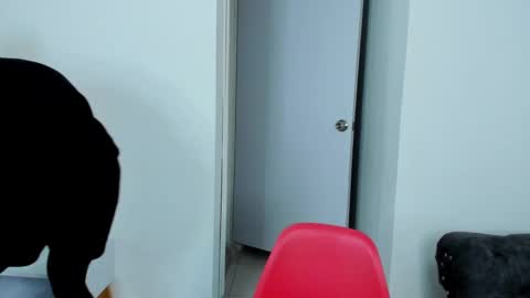 Snapshot of dylantaylor_1 chatting on 10.05.25 Dylan Taylor online show from 10.05.25