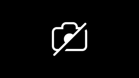 dylp400 online show from 01.12.26