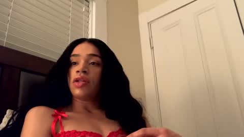 Dynasty online show from 12.18.24