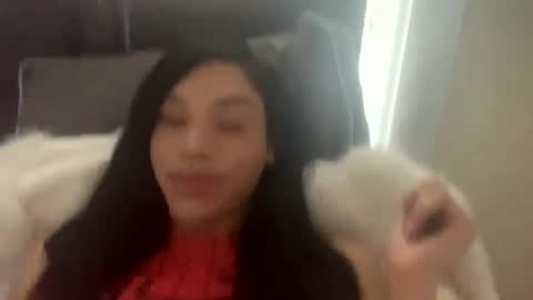 Dynasty online show from 02.04.25