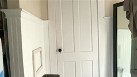 Dynasty online show from 12.17.25