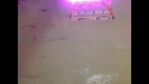 eatuupx online show from 12.19.25