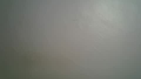 Snapshot of ebonnyqueeen chatting on 03.15.26 Queen online show from 03.15.26