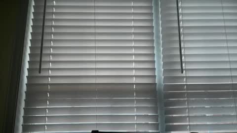 americnbarbie online show from 02.12.26