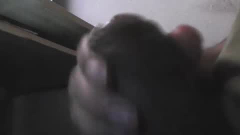 EddiesCock69 online show from 11.05.25