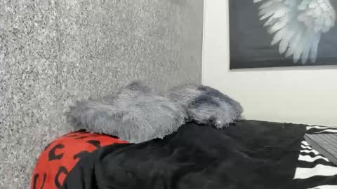 edi_stwix18 online show from 01.13.26