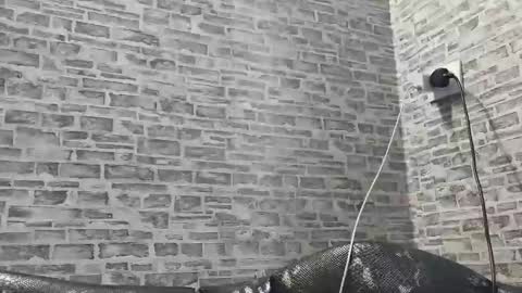 edithmanning online show from 02.27.25