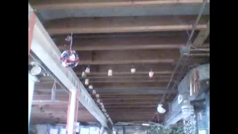 efriff online show from 04.18.26