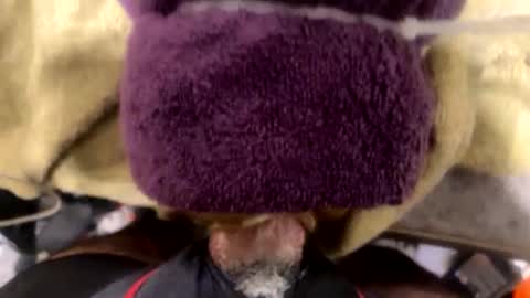 ehdgher online show from 12.02.25