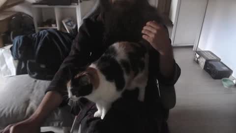 eighthundredeightyeight online show from 11.09.25