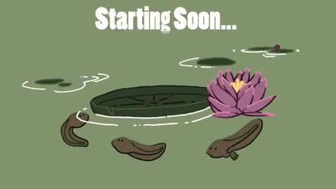 Eimy online show from 04.14.26