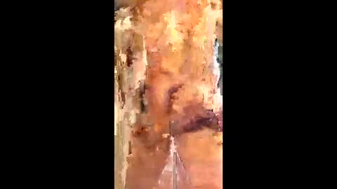 eirickr online show from 01.06.26