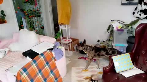 Snapshot of ejrabloom chatting on 03.16.26 ejrabloom online show from 03.16.26