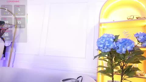 Elasummeer online show from 10.30.25