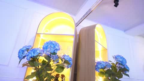 Elasummeer online show from 01.09.26