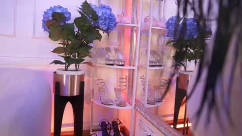 Elasummeer online show from 02.12.26