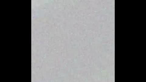 elektra online show from 03.19.26