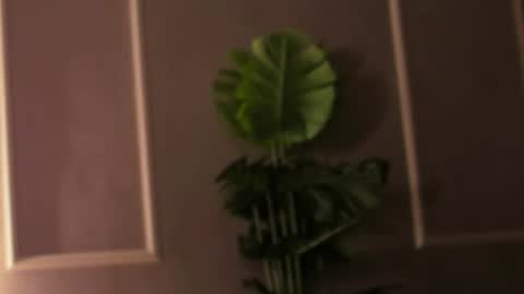 Snapshot of eli_llie chatting on 02.18.25 Eli online show from 02.18.25