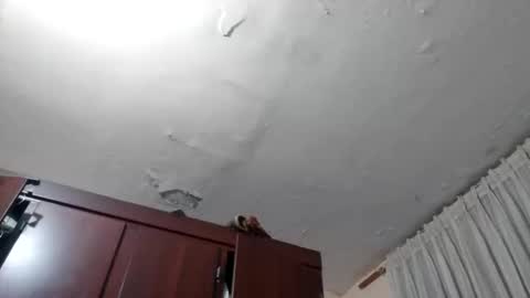 elianis598477 online show from 02.10.26