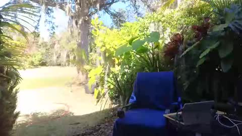 eliberator online show from 02.09.25