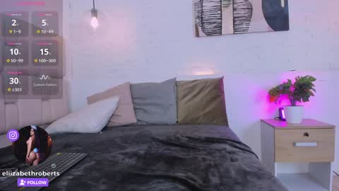 E L I I Z A B E T H   online show from 01.20.25