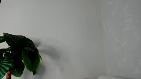 My name is ElizaPVT is open online show from 02.22.25