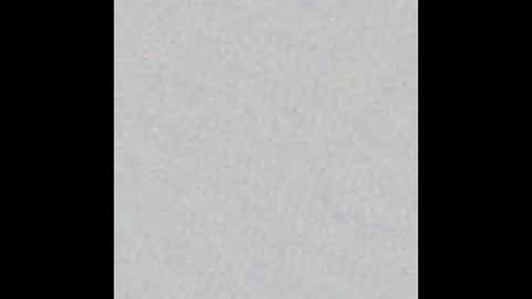 Eli online show from 01.08.26