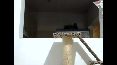 Elizabeth Martinez  online show from 01.19.25