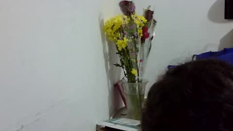 Elizabeth Martinez  online show from 03.12.26