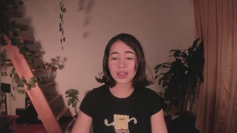 Tuli online show from 04.01.26