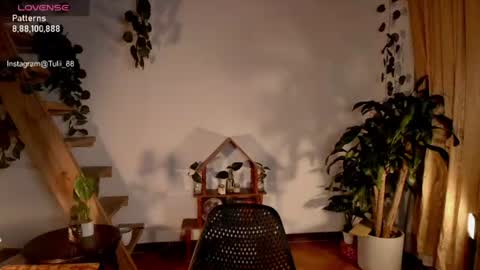 Snapshot of elizabethz chatting on 06.22.26 Tuli online show from 06.22.26