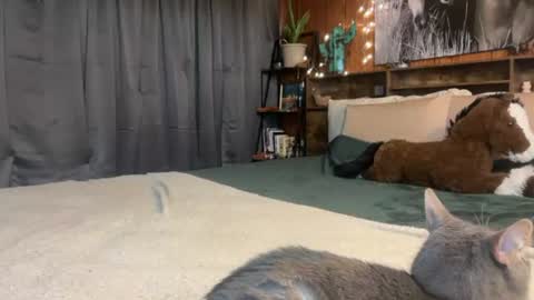Ella online show from 07.06.26
