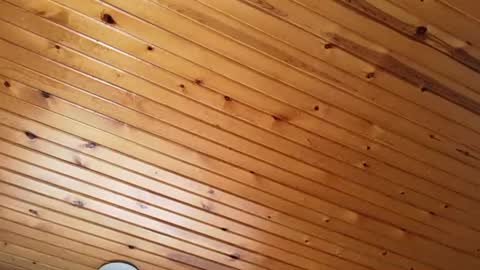 Snapshot of ellalowe chatting on 03.22.26 ellalowe online show from 03.22.26