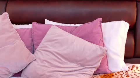 Ella Sanders online show from 03.27.26