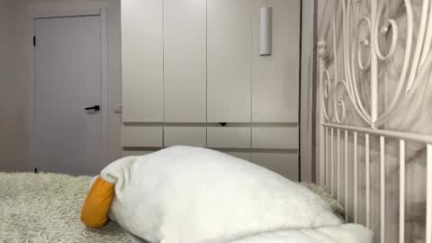 Snapshot of ellettecollins chatting on 01.06.26 Rosa online show from 01.06.26