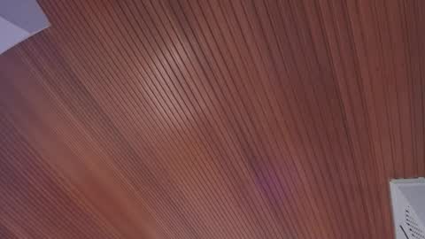 Snapshot of elodie_walker chatting on 02.14.26 Elodie online show from 02.14.26