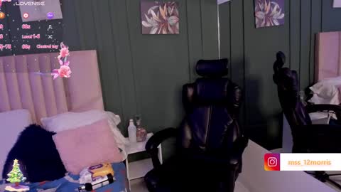 Snapshot of elsiemorriis chatting on 12.13.24 ELSIE online show from 12.13.24