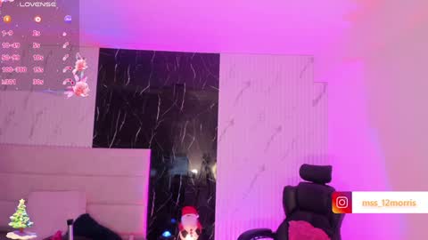 Snapshot of elsiemorriis chatting on 12.24.24 ELSIE online show from 12.24.24