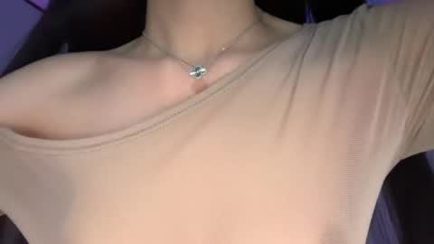 Snapshot of elyshunter chatting on 11.23.25 ElysHunter the girl will hunt you online show from 11.23.25