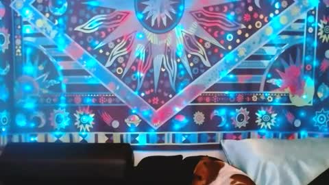 Ember Starleena online show from 02.24.25